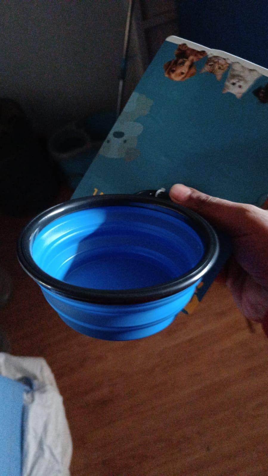 Blue foldable silicone pet bowl held in hand against wooden floor and blue background