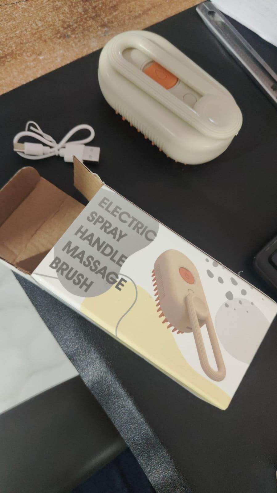 Electric spray handle massage brush steam brush for pets with USB charging cable and packaging box