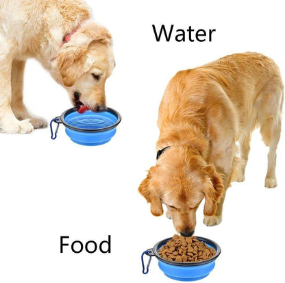 Two golden retrievers drinking water and eating food from blue foldable silicone pet bowls with carabiner clips