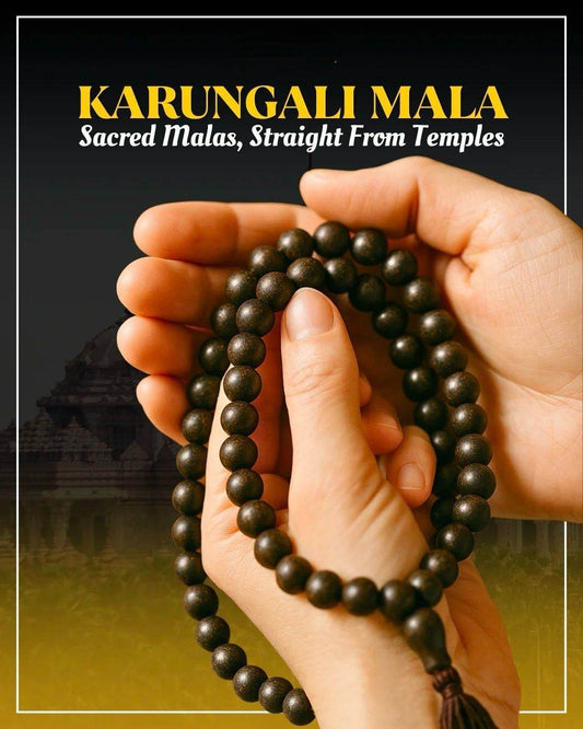Hands holding karungali mala original 108 beads sacred prayer beads from temples