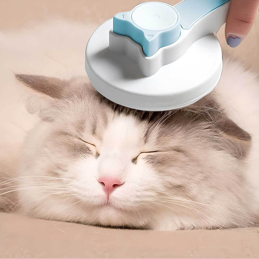 Pet head comb with cleaning needle being used to groom a relaxed fluffy cat
