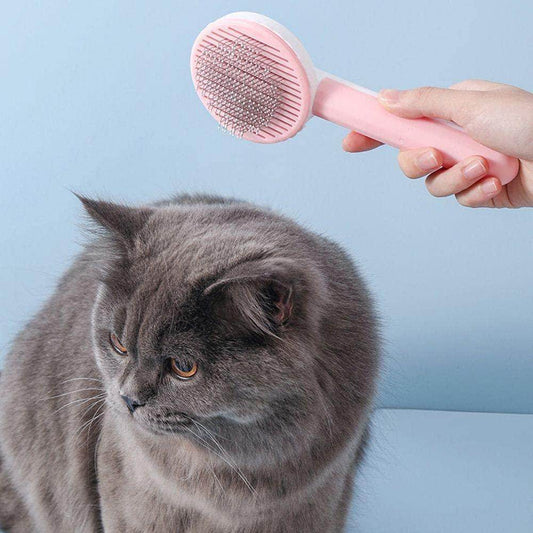 Pet head comb with cleaning needle held above gray cat against blue background