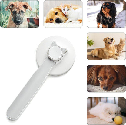 White pet head comb with cleaning needle designed for grooming dogs and cats