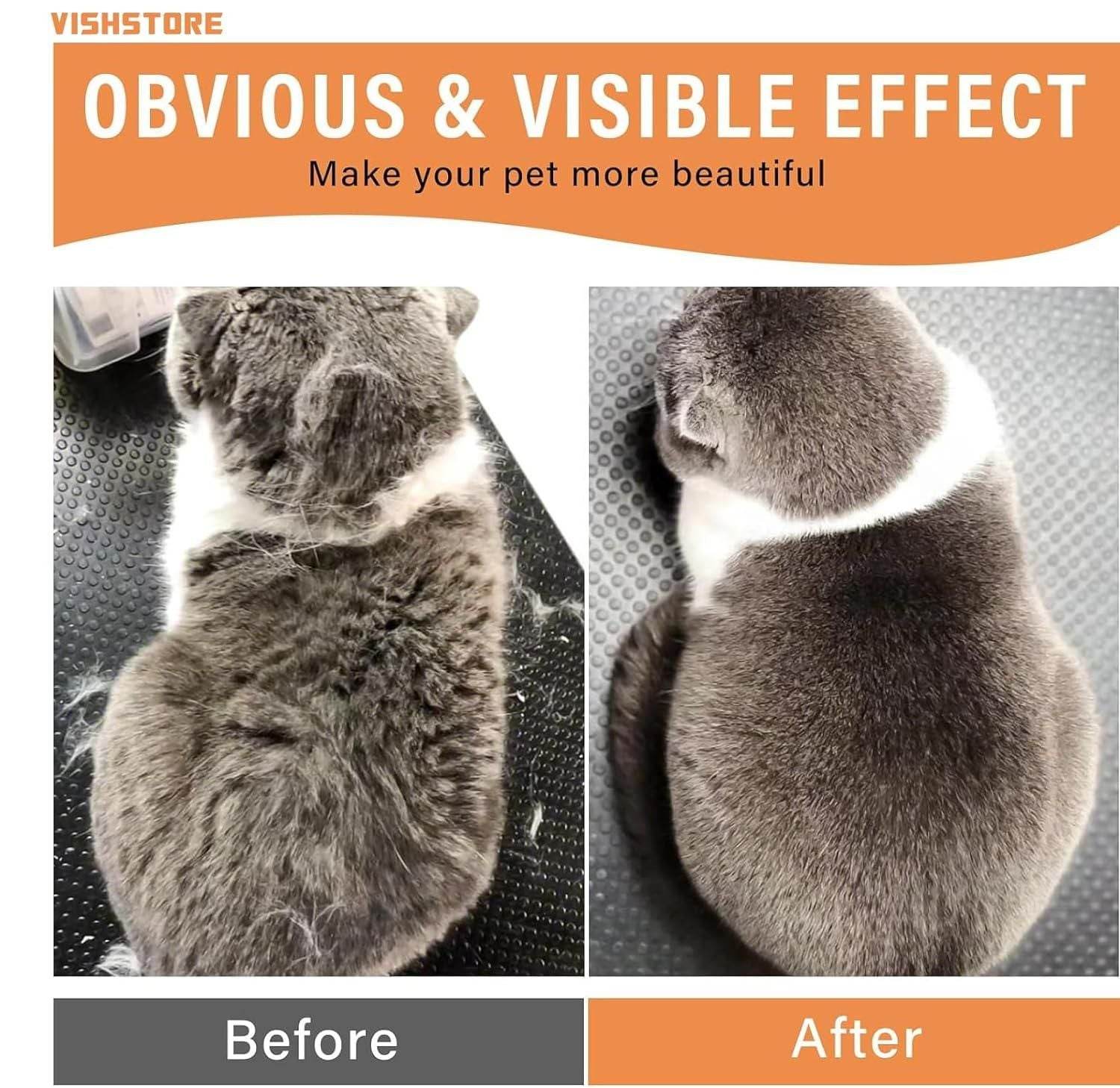 Before and after grooming showing obvious effect using steam brush for pets on a gray and white cat
